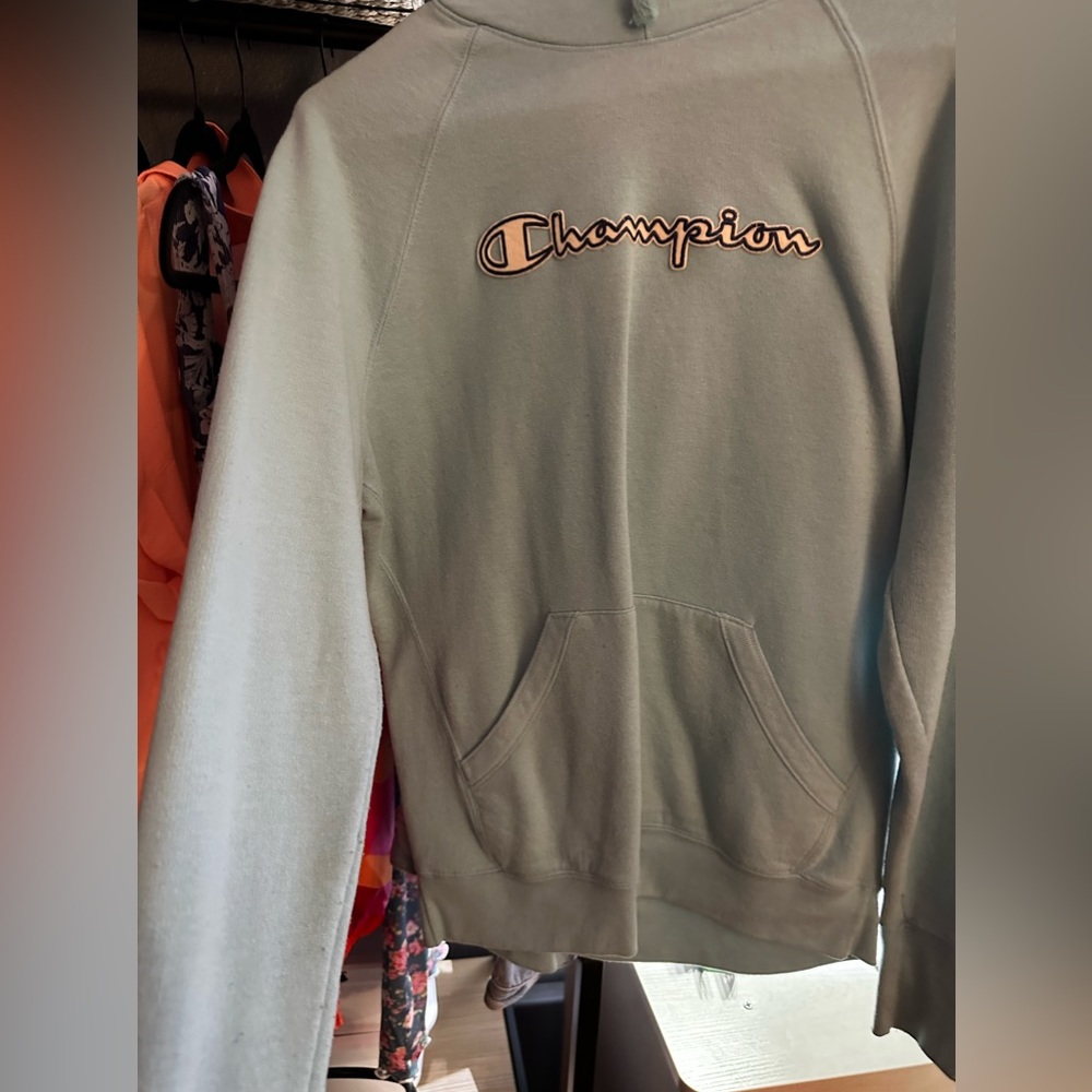blue champion hoodie